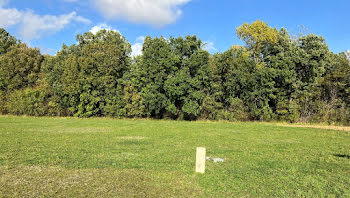 terrain à Saint-Bris-des-Bois (17)