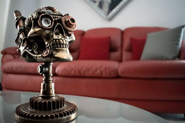 Home Skull Home di desideria maglione