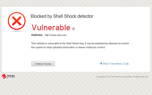 Shell Shock (Bash Bug)