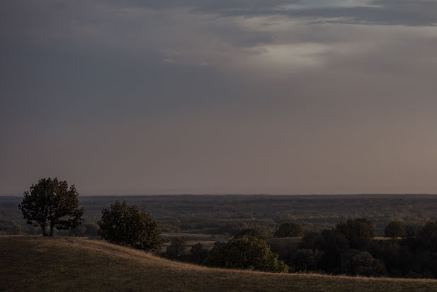 Fotograf ślubny Fse Events (aleksandarfs). Zdjęcie z 16 września 2020