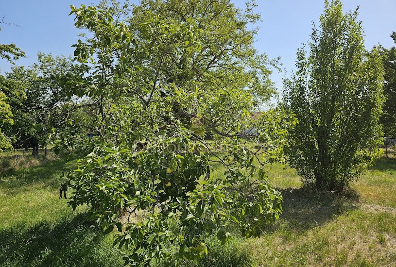  Vente Terrain agricole - à Gannat (03800) 