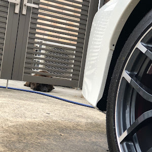 フェアレディZ Z34
