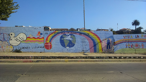 Mis Colores Por Un Mundo De Paz