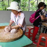 桃樂絲柚香農場