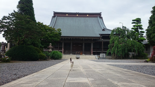 報国寺 本堂