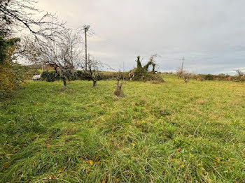 terrain à Echiré (79)