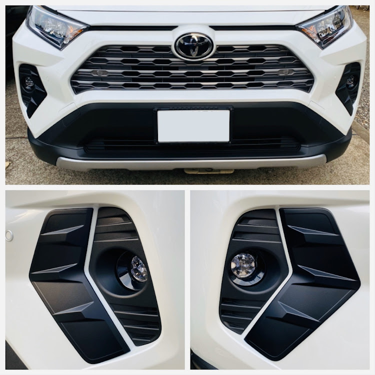 トヨタ RAV4 rav4 フォグガーニッシュ【C519】