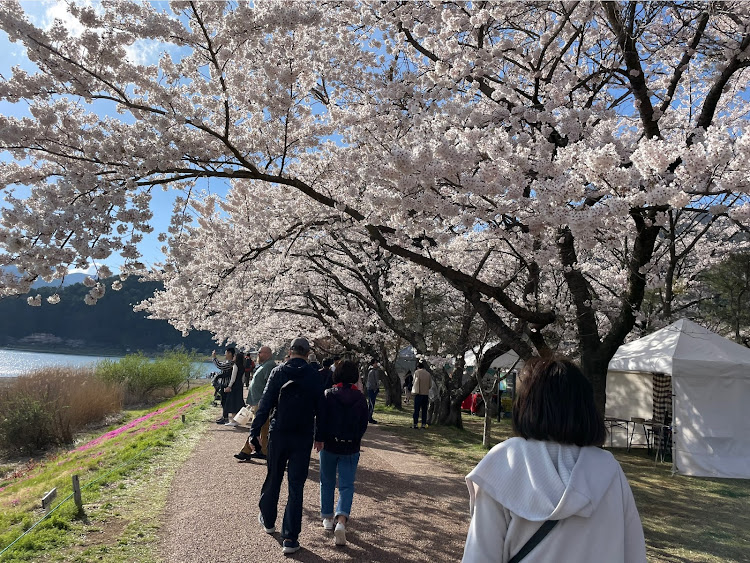 の投稿画像12枚目