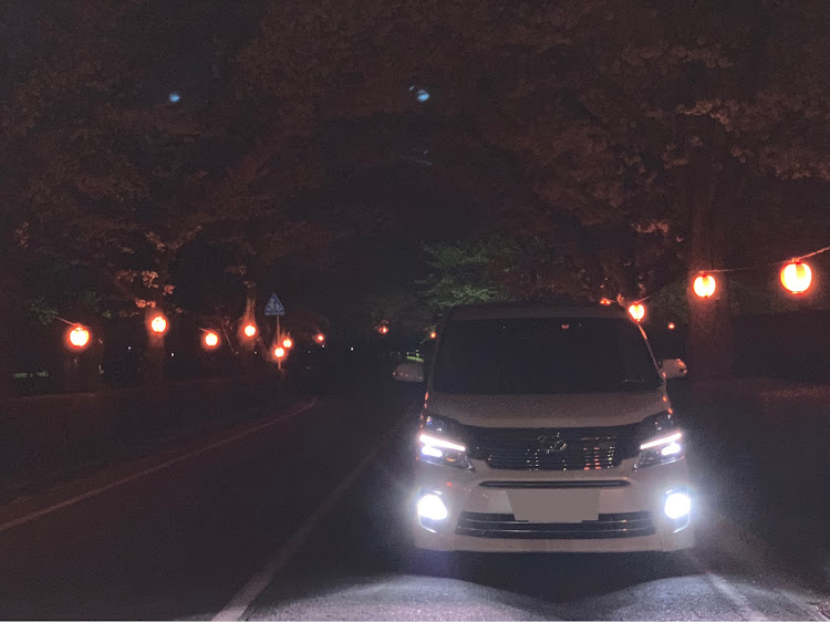 ヴェルファイアの夜桜と愛車に関するカスタム事例の投稿画像2枚目