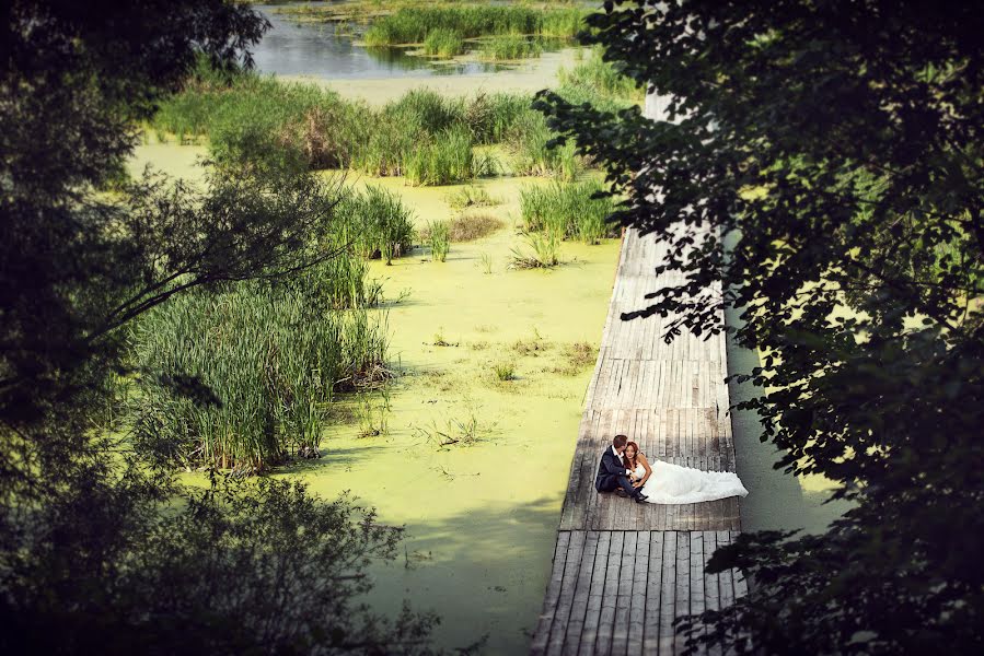 Photographe de mariage Olga Borisenko (flamingo-78). Photo du 3 décembre 2015