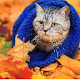 Autumn HD Wallpapers Seasons Hot Topics