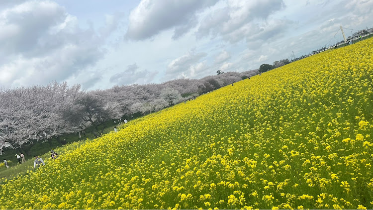 の投稿画像2枚目