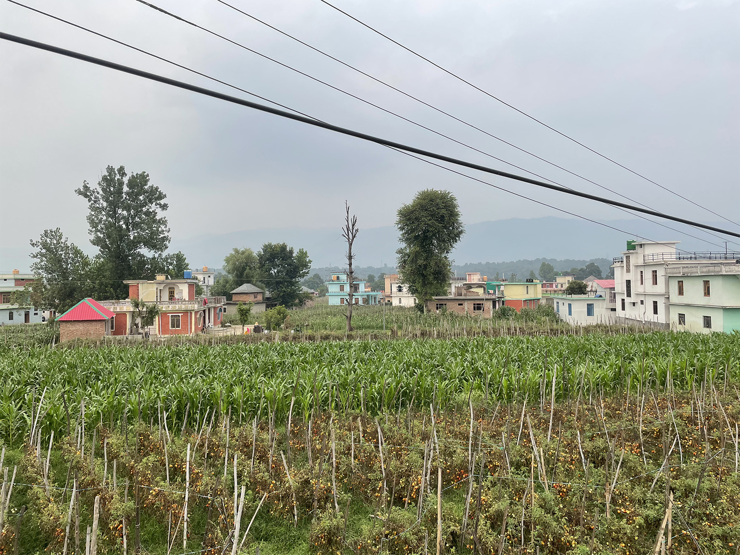 Himachal Pradesh’s poorly planned Mandi airport risks its limited fertile agricultural land