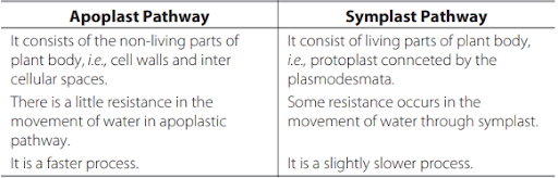 Solution Image