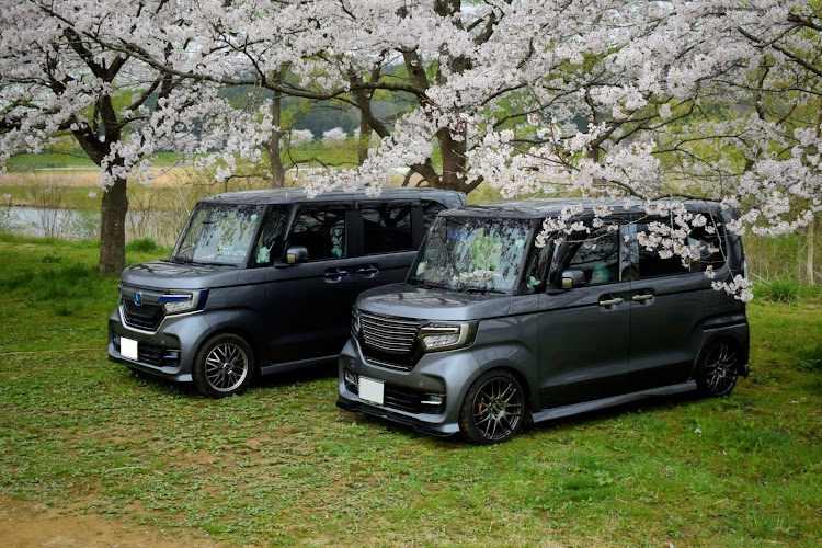 NボックスカスタムのＮBOXカスタム・桜コラボ・桜と愛車に関するカスタム事例の投稿画像1枚目