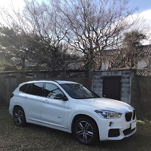 X1 F48