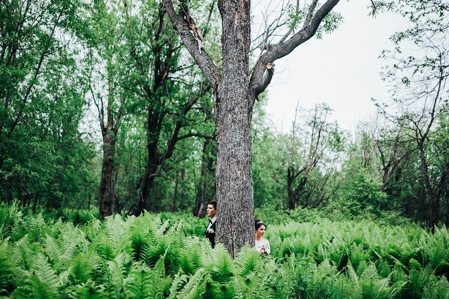 Wedding photographer Sergey Laschenko (cheshir). Photo of 22 September 2015