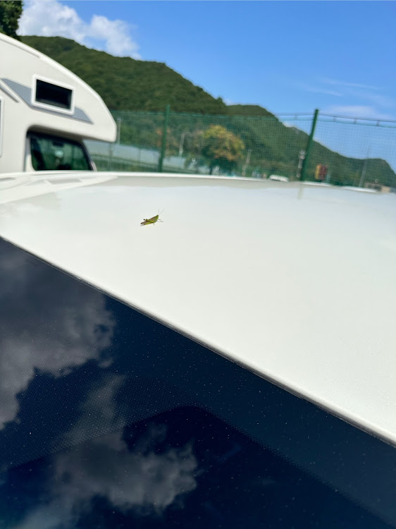 アルファードの北海道・ドライブ・残暑厳しい・山と愛車・レーシングマスターに関するカスタム事例の投稿画像2枚目