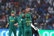 The Proteas' Kagiso Rabada celebrates the wicket of New Zealand's Tom Latham in the ICC Cricket World Cup match at MCA International Stadium in Pune, India, on Wednesday. 