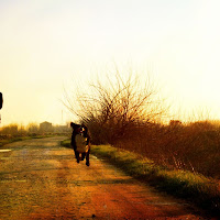 Il cane volante di 