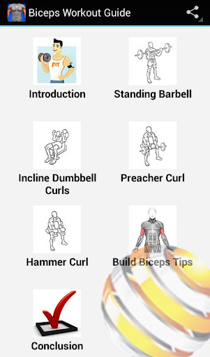 Biceps Workout Guide