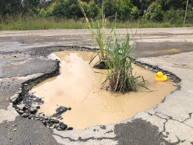 Massive potholes on the Curry's Post road make driving treacherous.