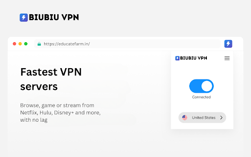 BiuBiu VPN - The Website Unblocker