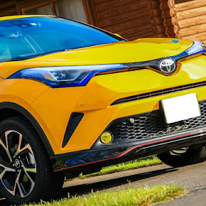 C-HR NGX50