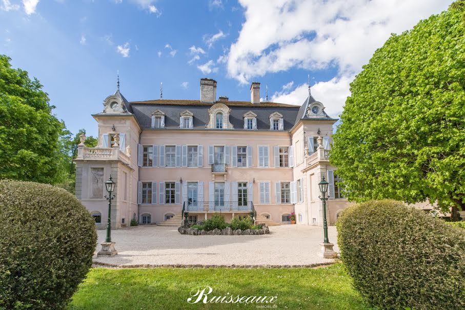 Vente château 17 pièces 685 m² à Dijon (21000), 3 600 000 €