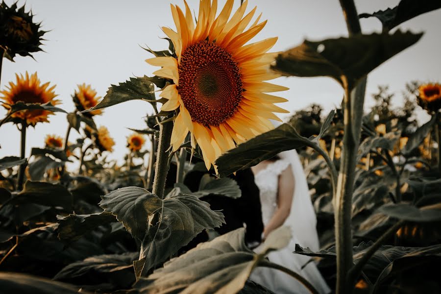 Fotógrafo de bodas Gencay Çetin (venuswed). Foto del 25 de agosto 2018