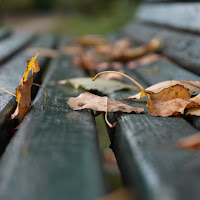 lay down on the bench di 