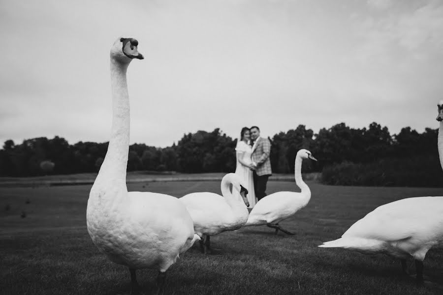 Bröllopsfotograf Aleksandr Nazar (nazaralex). Foto av 14 augusti 2022