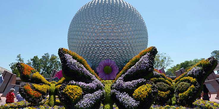 Flowers in the shape of butterflies at Epcot in Orlando