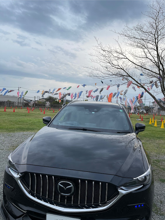 CX-8の桜・こいのぼり🎏・季節外れ？・ドライブ・桜と愛車に関するカスタム事例の投稿画像1枚目