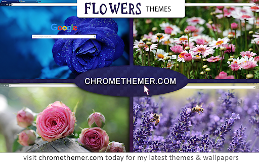 chromethemer.com 