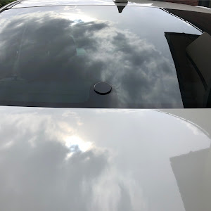 WRX S4 VAG