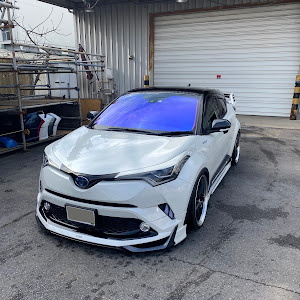 C-HR ZYX10