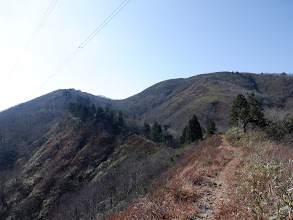 ここからは緩い登りで井岸山へ