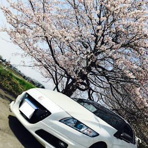 CR-Z ZF1