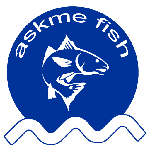 AskMe Fish