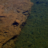 Trasparenze a pelo d'acqua  di 