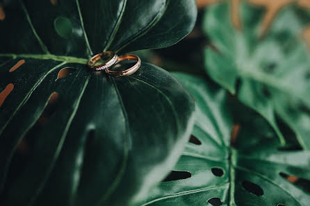 Wedding photographer Yana Yanieva (yanayanieva). Photo of 10 January 2019