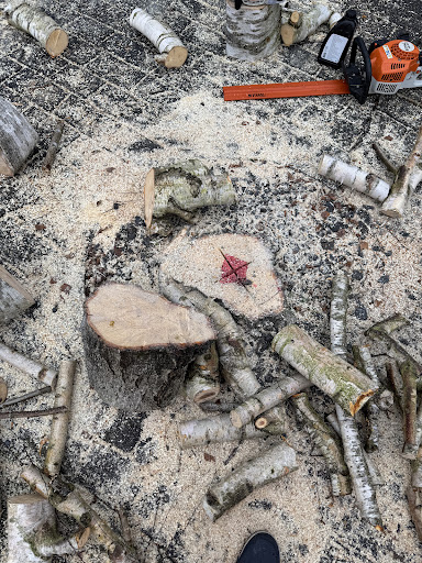 Item 53