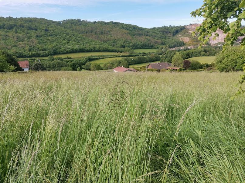 Vente terrain  3993 m² à Saint-Sernin-du-Bois (71200), 40 000 €