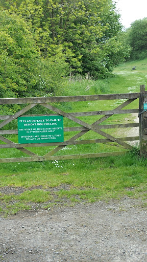 Nelson Quarry Nature Reserve