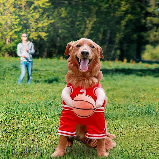 Title 2, Dog Basketball Player Costume, Halloween Funny ...