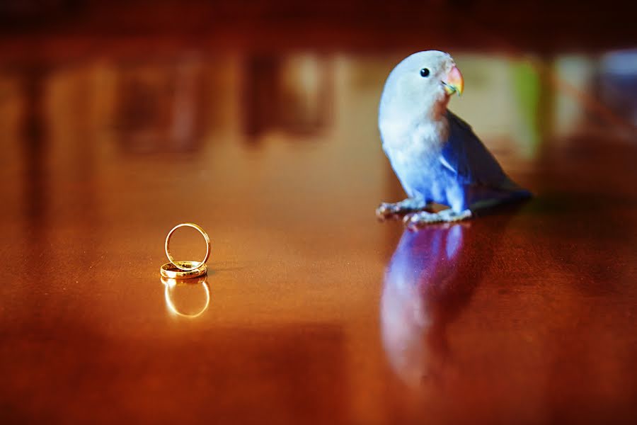 Fotografo di matrimoni Ramón Serrano (ramonserranopho). Foto del 1 luglio 2017