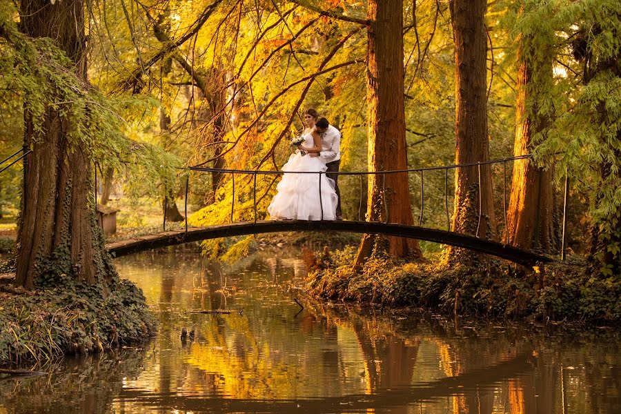 Wedding photographer Imre György (imregyorgy). Photo of 4 January 2020