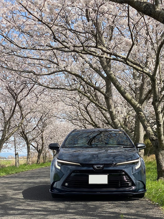 カローラツーリングのドライブ・サクラと愛車に関するカスタム事例の投稿画像1枚目