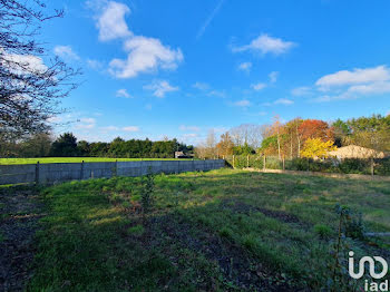 terrain à Montréverd (85)